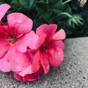 Meet your Posher, Ryann